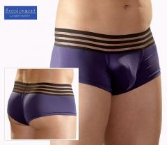 Boxer blu con fascia elastica a strisce.