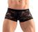 Boxer in pizzo.