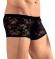 Boxer in pizzo.