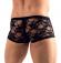 Boxer in pizzo.