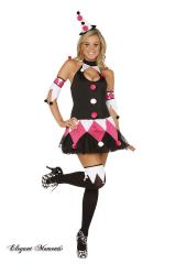Harley Quinn costume 4 pcs.
