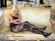 Catsuit Romantic Rose.