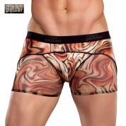 Boxer tigrati.