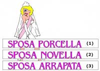 Fascia sposa con scritta.