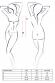 Agawa Body