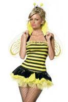 Costumi animali - insetti